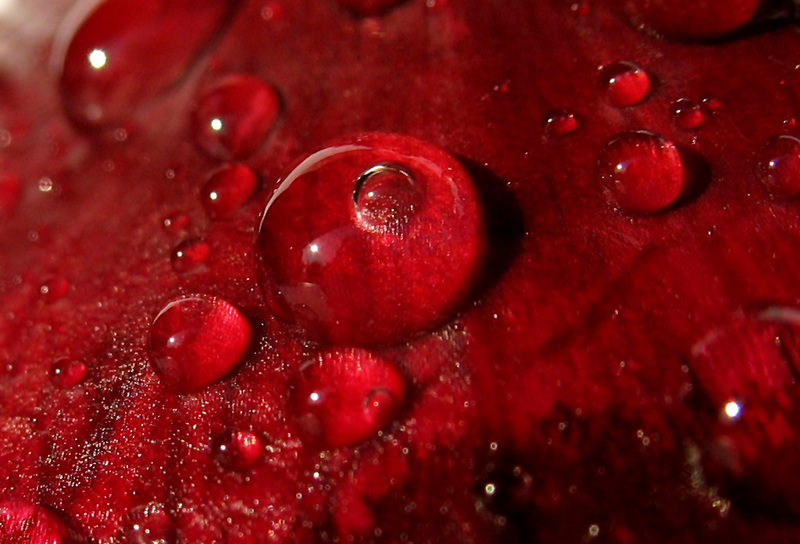 Dragon's Blood Melted Resin